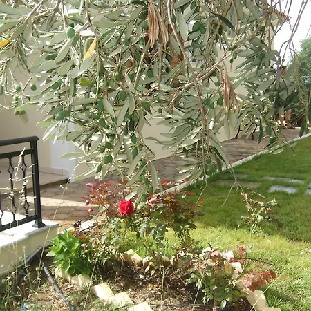 아파트 Stathi's House 메갈리 아모스