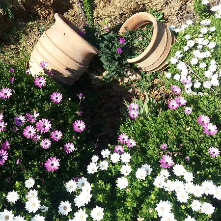 Appartamento Stathi's House *