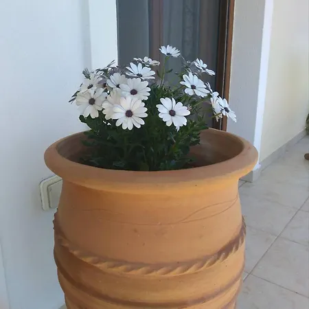 Stathi's House * Megali Ammos (Skiathos)