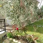 Apartment Stathi's House Megali Ammos (Skiathos)