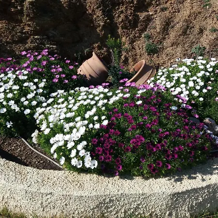 Lejlighed Stathi's House