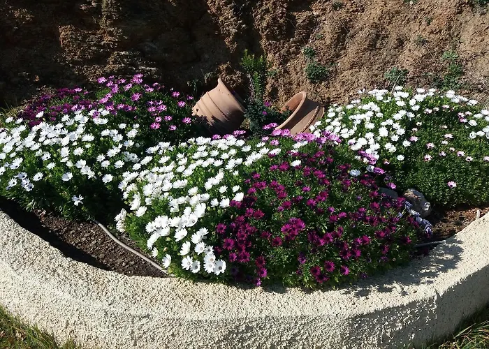 Apartament Stathi's House