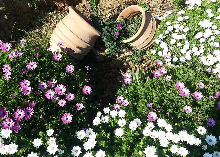 Apartament Stathi's House *