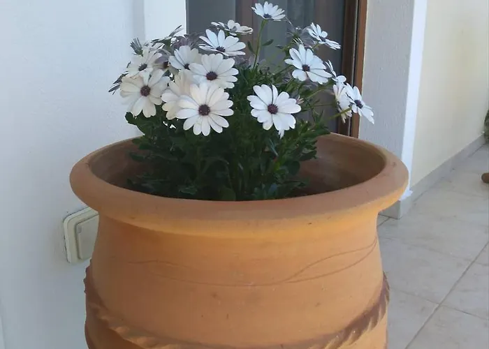 Stathi's House * Megali Ammos (Skiathos)